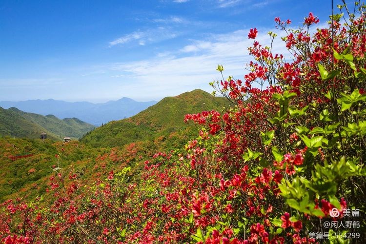 醉美大围山