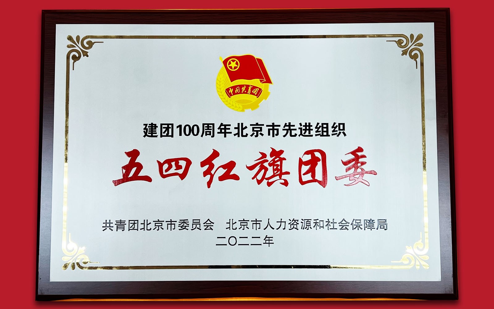 朝阳法院机关团委获评“北京市五四红旗团委”