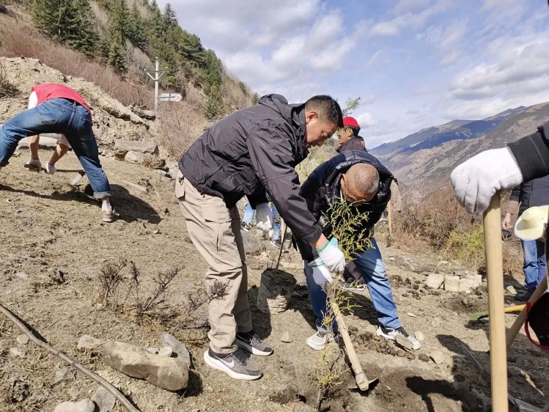 植树增绿，司法守护绿水青山