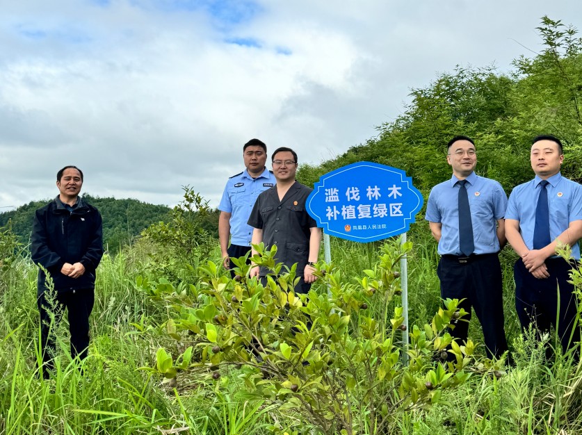 以法之名守护绿水青山——凤凰法院：世界环..