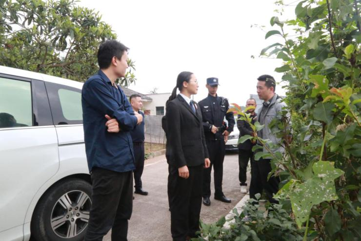 红梅·新“枫”|法院携手村委会，护航土地流转规范化