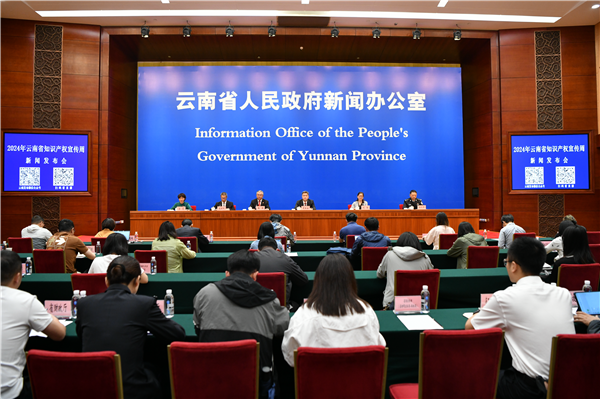 云南发布2023年全省法院知识产权司法保护成绩单
