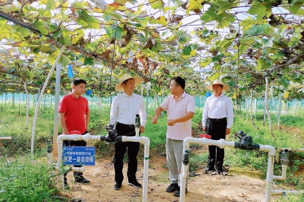 潘凌宇院长到基层法院调研指导工..