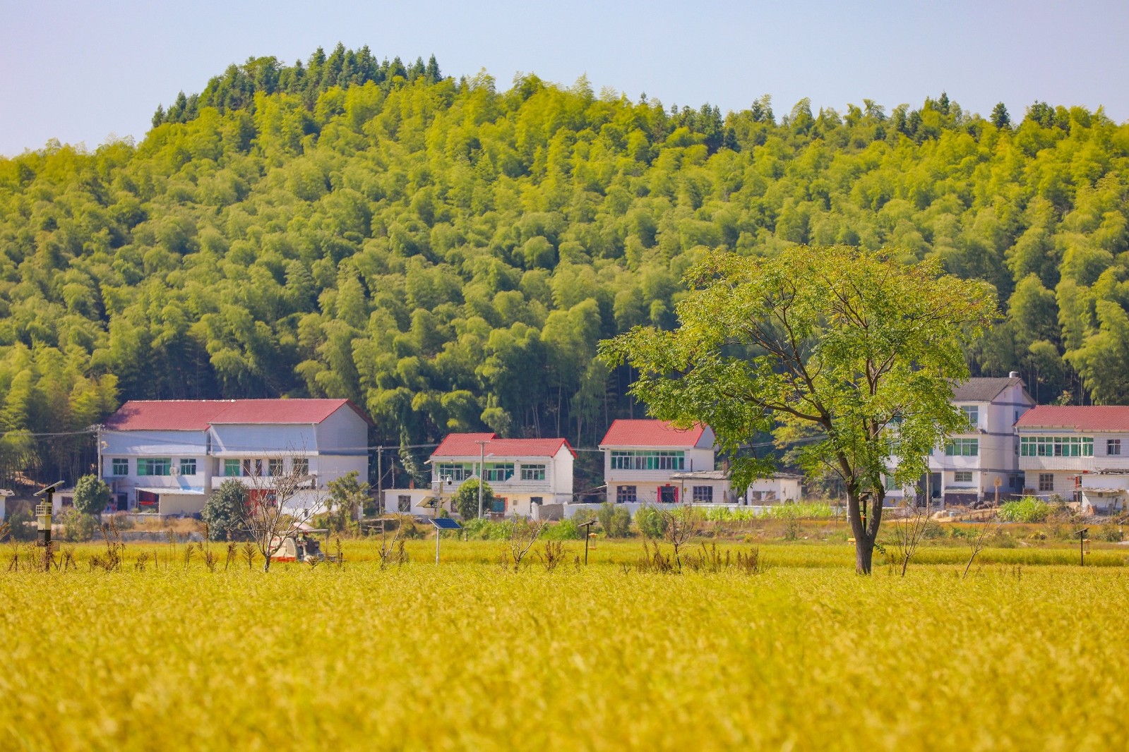 法影斑斓《村前村..